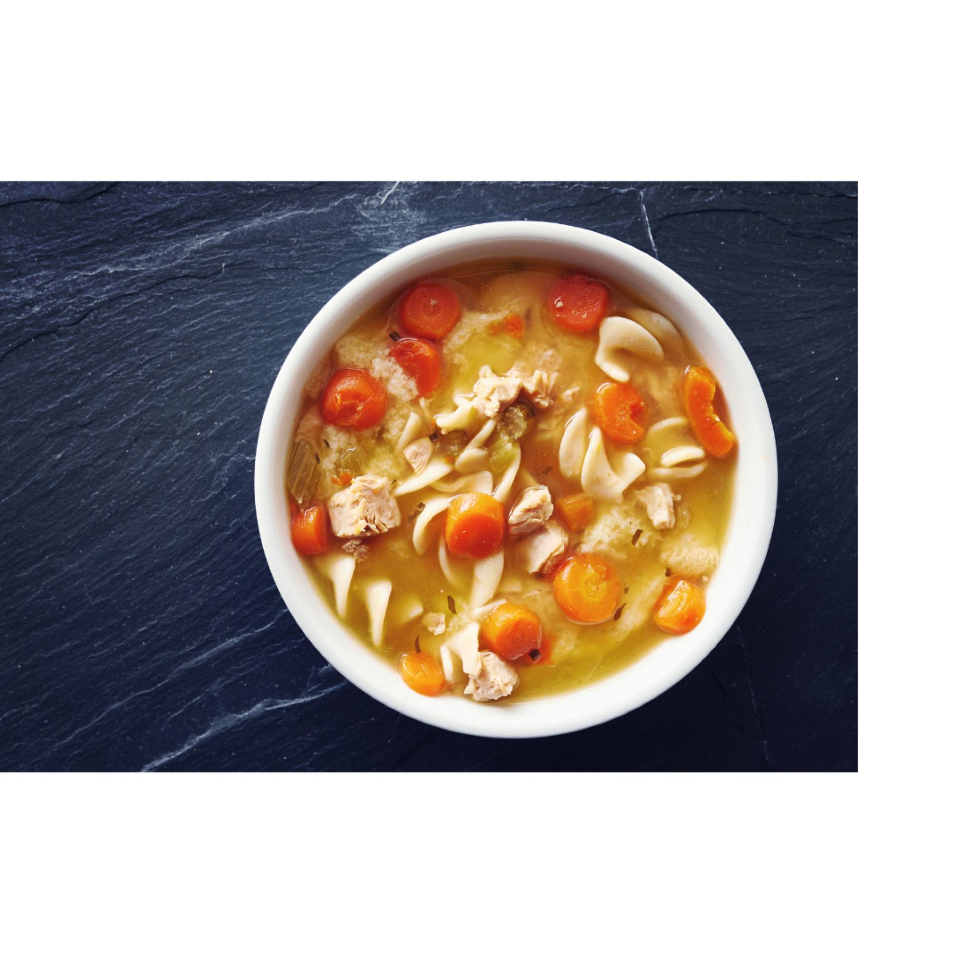 Chicken Noodle Soup (One Size)