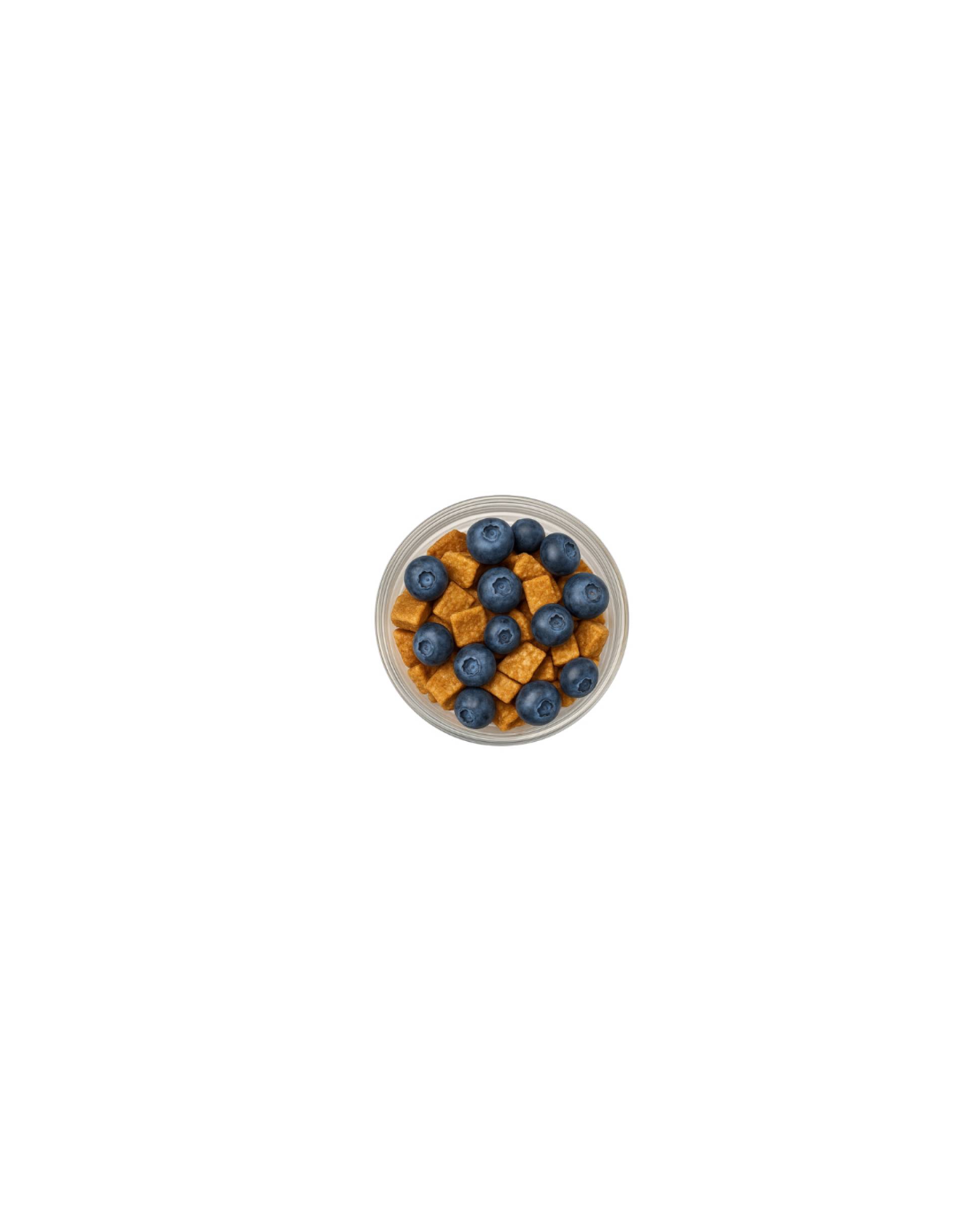 Blueberry Cinnamon Crunch Oats